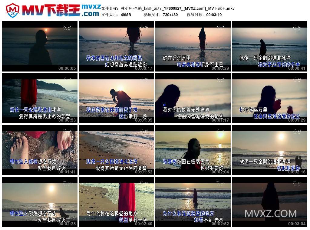 林小珂-企鹅_国语_流行_YF800527